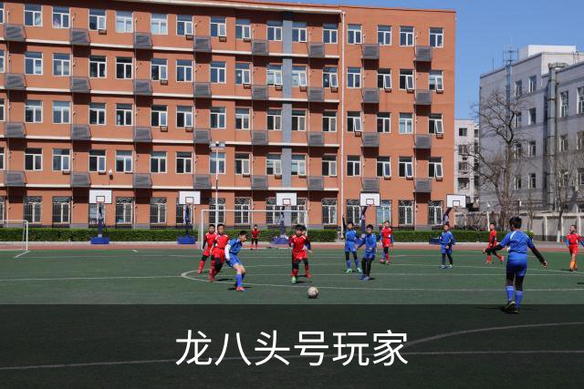 龙八头号玩家公司环境
